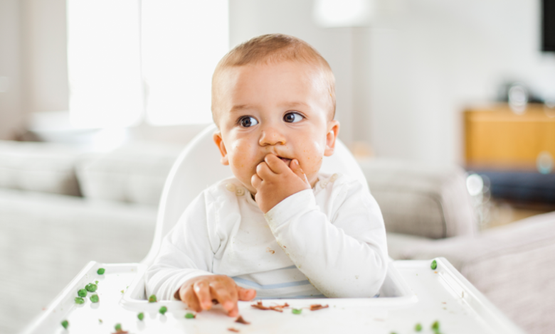Introducción de alimentos sólidos en la dieta del bebé