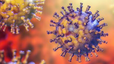Virus de la varicela-zóster que causa el Ramsay-Hunt Syndrome que padece Justin Bieber