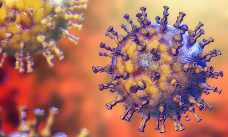 Virus de la varicela-zóster que causa el Ramsay-Hunt Syndrome que padece Justin Bieber