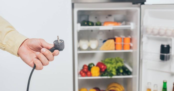 Conoce cómo preparar y conservar alimentos durante emergencias para garantizar la seguridad y evitar desperdicios frente a cortes de luz