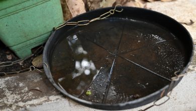 En un periodo corto de días, el archipiélago ha experimentado una acumulación considerable de agua debido a las lluvias