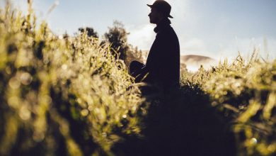 Un patrono debe tomar medidas para proteger a sus empleados agrícolas de los riesgos asociados al calor, ya sea por las normativas legales existentes o como acciones cautelares.