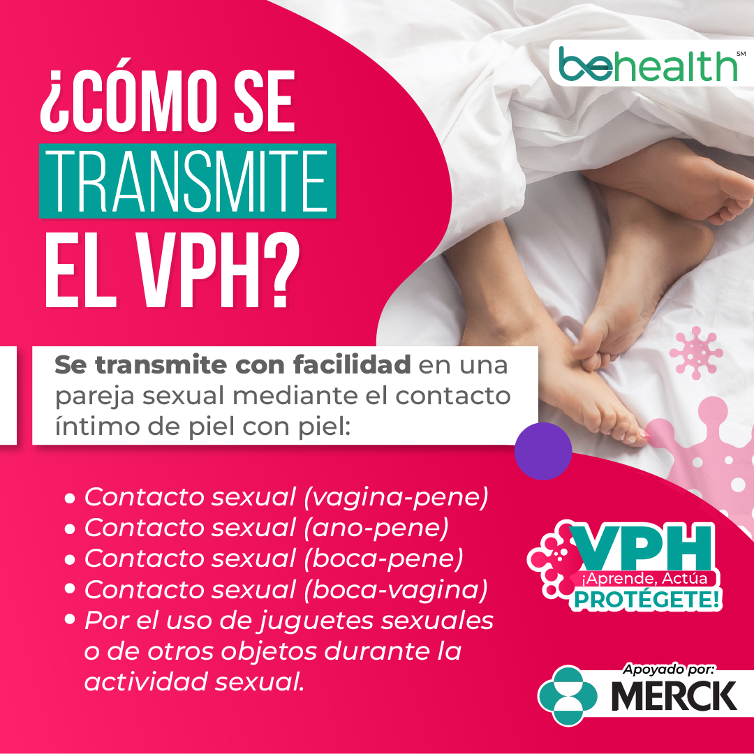 VPH Galeria-01