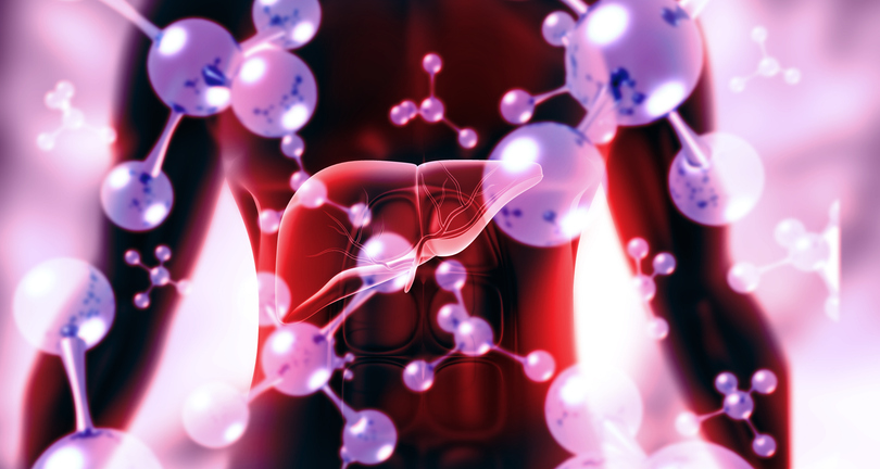 ¿Es posible aumentar el metabolismo?