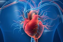 Regeneración del corazón