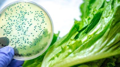 La listeria es causada por bacterias que pueden proliferar a bajas temperaturas, como las del refrigerador.