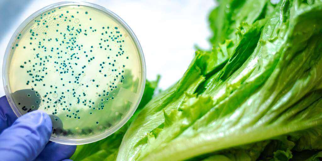 La listeria es causada por bacterias que pueden proliferar a bajas temperaturas, como las del refrigerador.