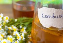 Té de Kombucha y sus beneficios para la salud