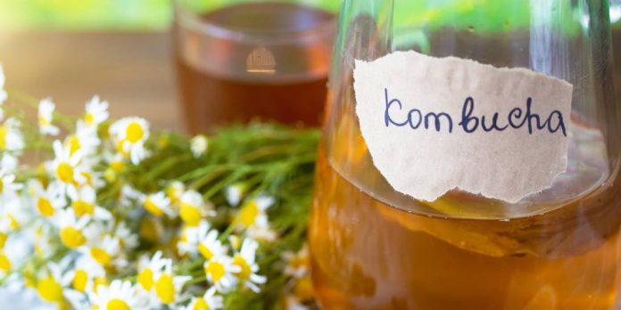 Té de Kombucha y sus beneficios para la salud