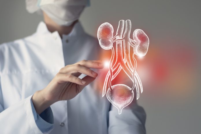 Primer trasplante exitoso de vejiga en humanos marca un avance sin precedentes en la cirugía urológica