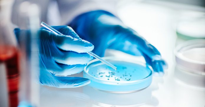 Gen y bacterias