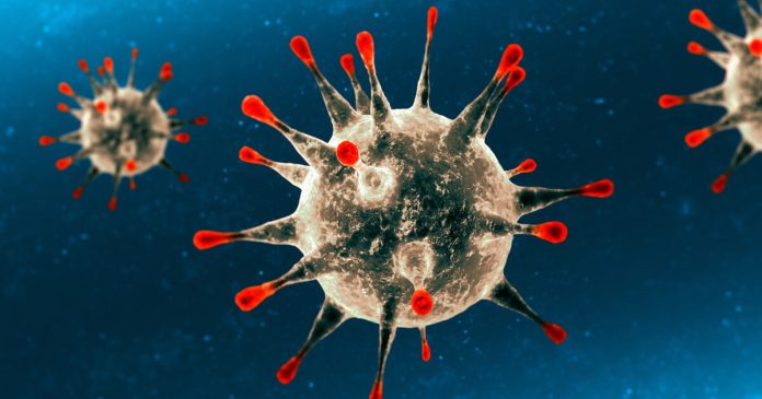 Nuevo caso registrado de peste bubónica en California.