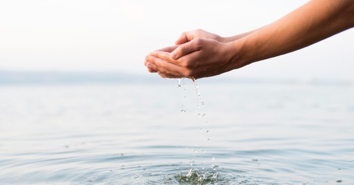 En un contexto global marcado por sequías, fenómenos extremos y aumento de temperaturas, la Semana Mundial del Agua 2025, que se celebra del 24 al 28 de agosto, cobra relevancia.
