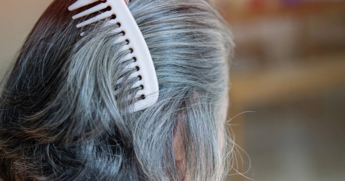 Mujer con canas en primer plano que ilustra la aparición de canas y su relación con la salud.