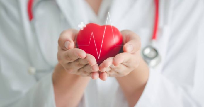 Manos sosteniendo un corazón, simbolizando la importancia de cuidar el reloj biológico para la salud cardiovascular