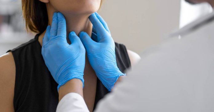 La tiroides es una pequeña glándula endocrina en forma de mariposa que está situada en la base del cuello.