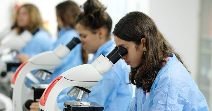 CienciaPR invita a estudiantes de séptimo a noveno grado que pertenezcan a escuelas públicas y privadas, a participar de Semillas de Triunfo.
