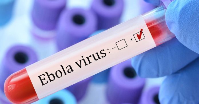 Ébola
