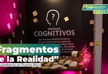 Nuevo espacio para concienciar sobre la esquizofrenia En Puerto Rico se calcula que 1 de cada 15 personas podría estar padeciendo de esquizofrenia. Además, en el 2023 se documentaron 422 casos.