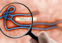 Así avanza el nuevo brote de ébola en África