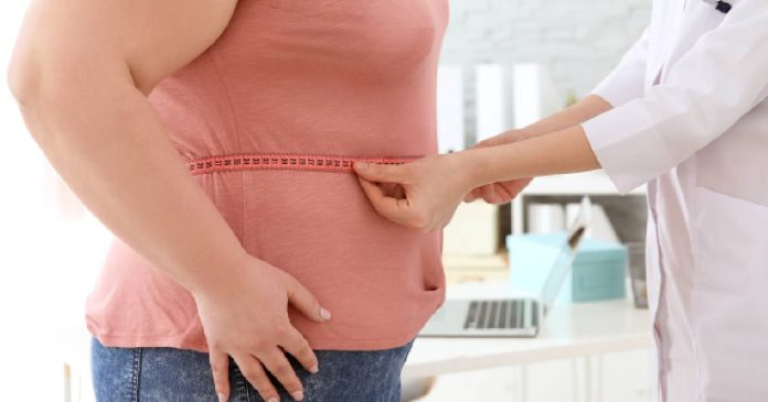 obesidad y sistema inmunológico