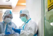 OMS confirma transmisión entre humanos de cepa de hantavirus detectada en crucero: esto es lo que se sabe