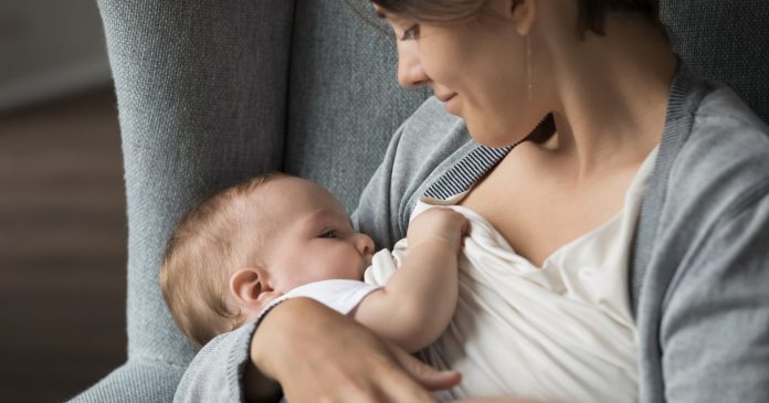 Lactancia y calor: ¿disminuye la producción de leche?