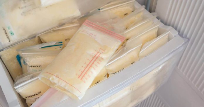La leche materna es la fuente de alimento natural para los bebés menores de un año, es el alimento de más valor nutricional que existe.