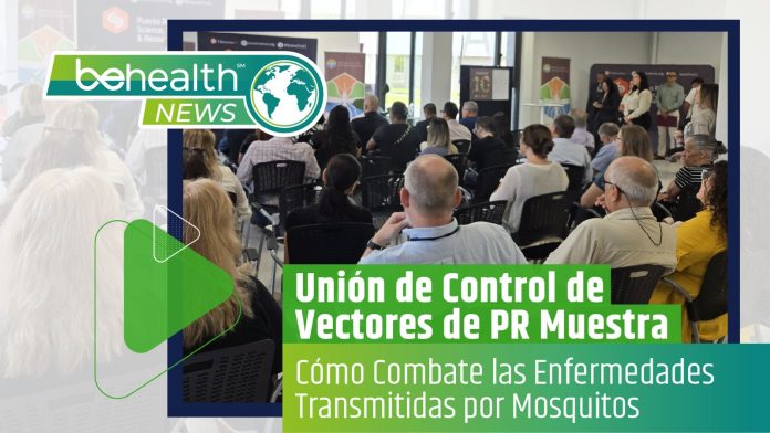Unión de Vectores