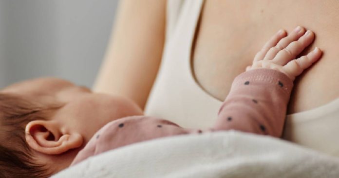 Madre e hijo durante la etapa de lactancia