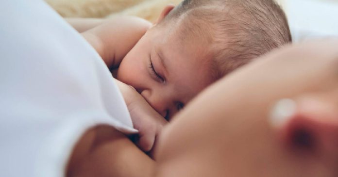 Conoce las claves parallevar la lactancia materna con éxito