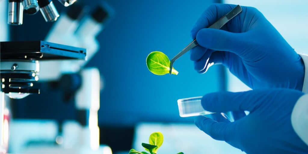 Los productos biológicos se clasifican en vacunas, sueros, hemoderivados, hormonas, biotecnológicos o fármacos recombinantes, antibióticos, alérgenos y terapia avanzada (terapia celular y terapia génica).